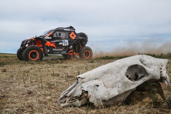 Mongolia Silk Way Rally