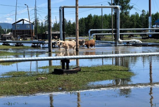 Russia Floods