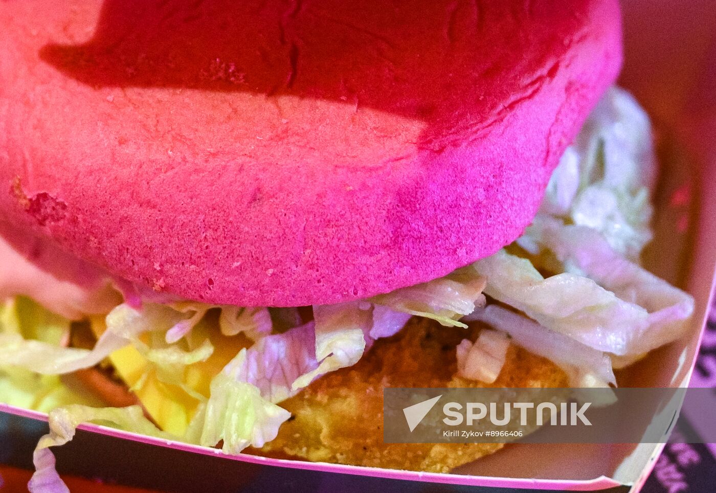 Russia Fast Food Chain Burger