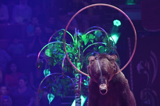 Russia Idol Circus Festival
