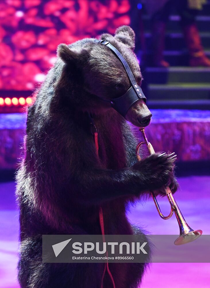 Russia Idol Circus Festival