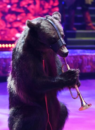 Russia Idol Circus Festival