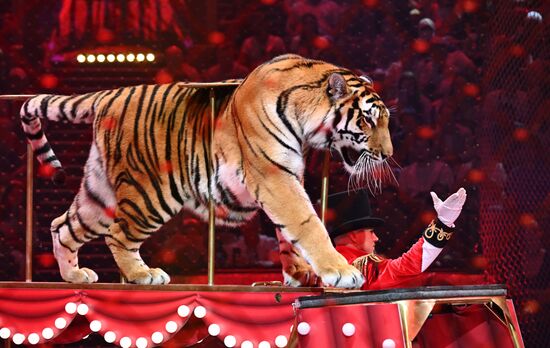 Russia Idol Circus Festival