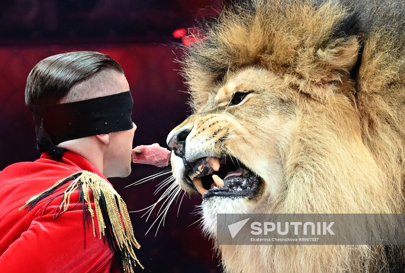 Russia Idol Circus Festival