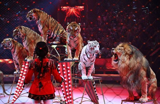 Russia Idol Circus Festival