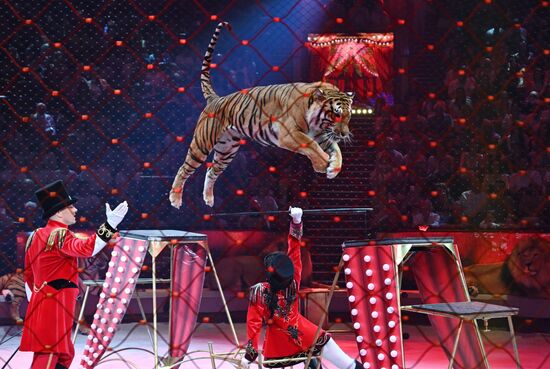 Russia Idol Circus Festival