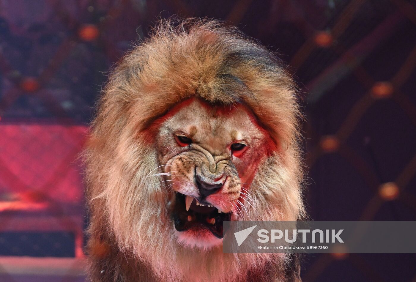 Russia Idol Circus Festival