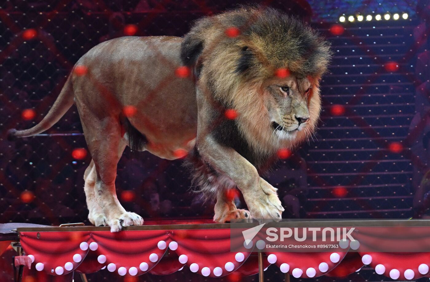 Russia Idol Circus Festival