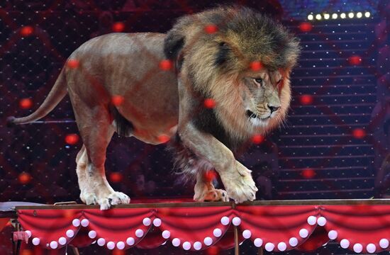 Russia Idol Circus Festival