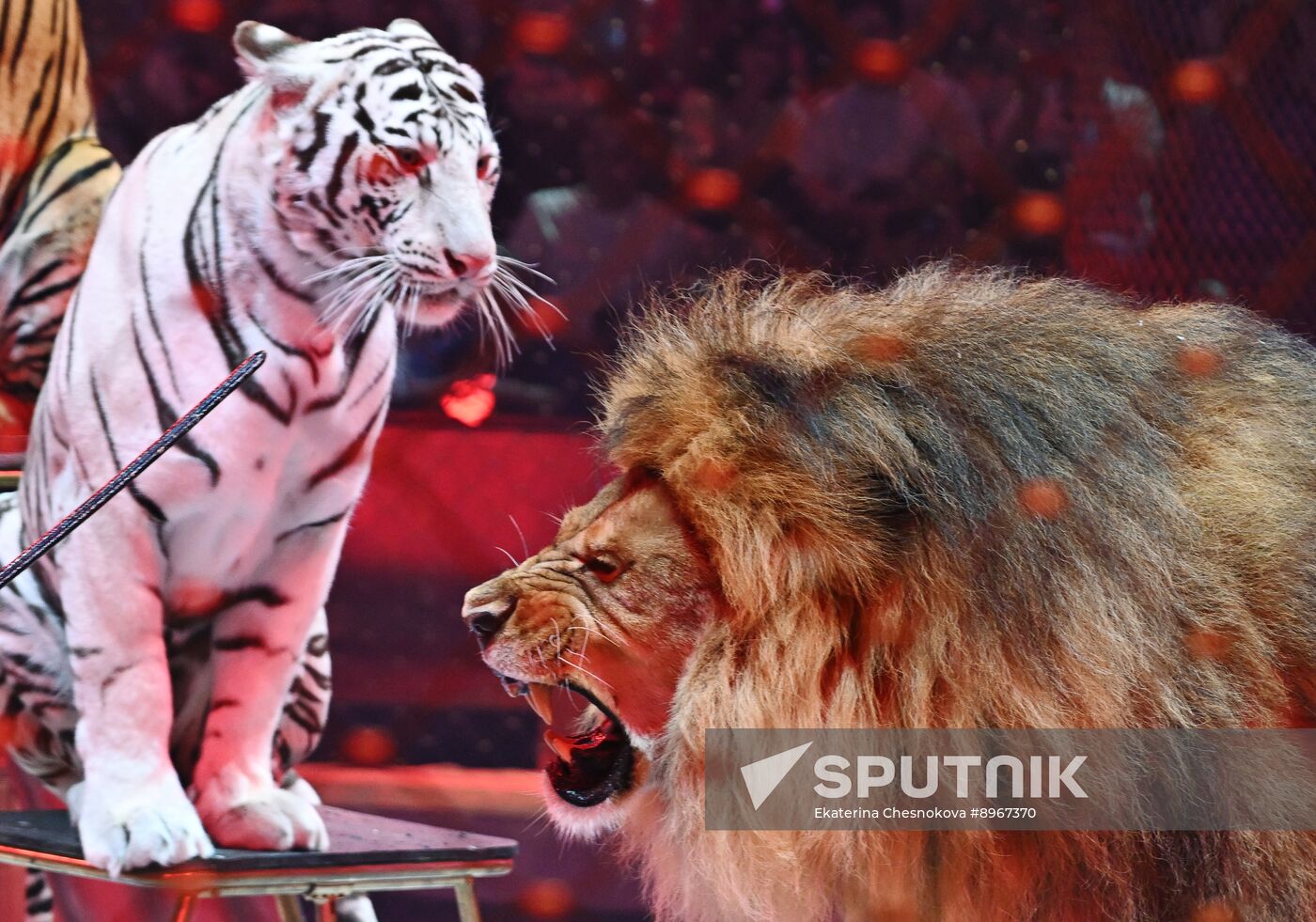 Russia Idol Circus Festival