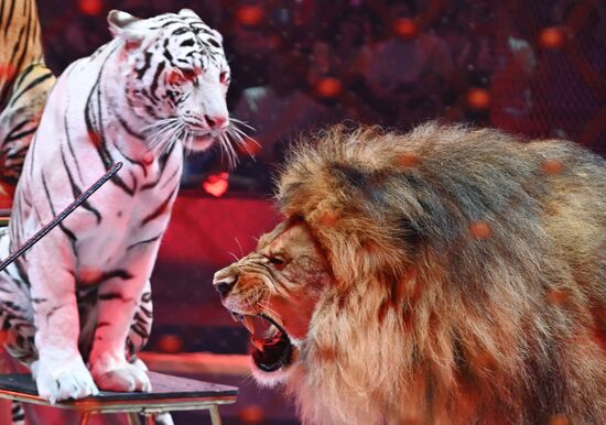 Russia Idol Circus Festival