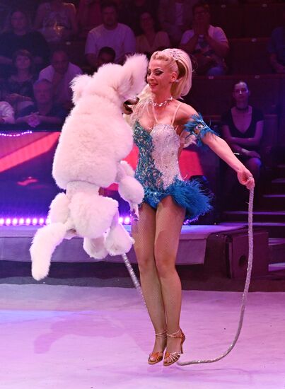 Russia Idol Circus Festival