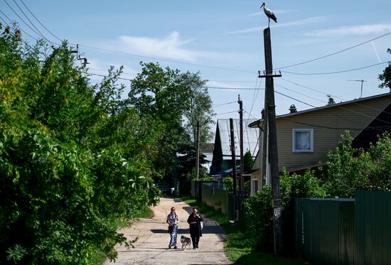Russia Wildlife Storks