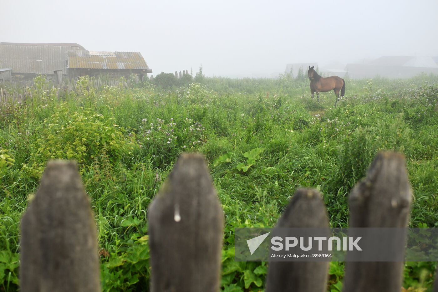 Russia Tourism