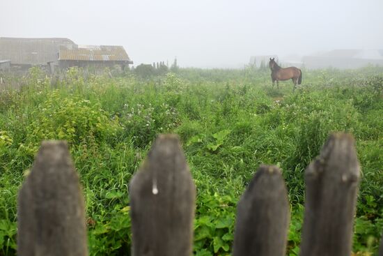 Russia Tourism