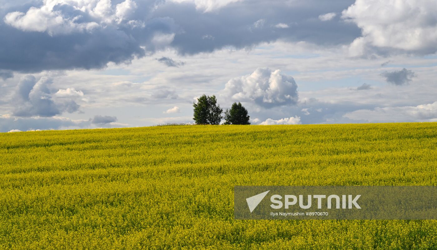 Russia Agriculture Grain Crops