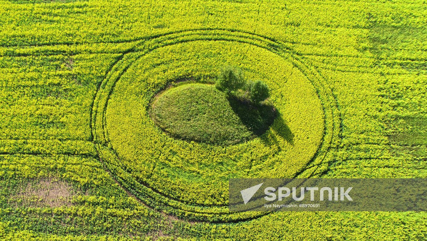 Russia Agriculture Grain Crops
