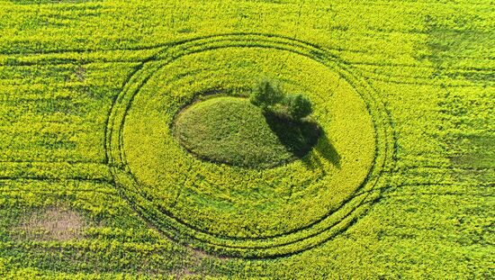 Russia Agriculture Grain Crops