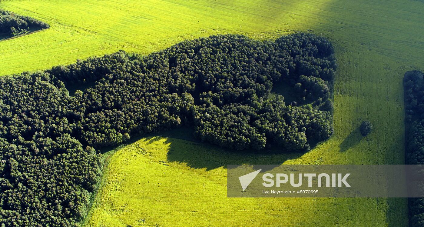 Russia Agriculture Grain Crops