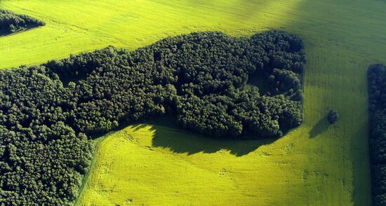 Russia Agriculture Grain Crops