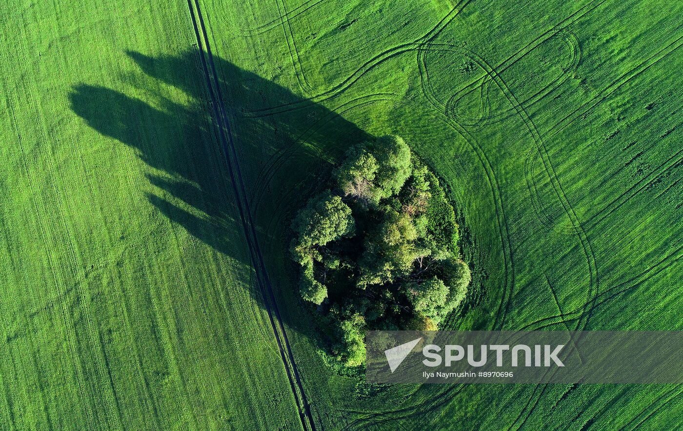 Russia Agriculture Grain Crops