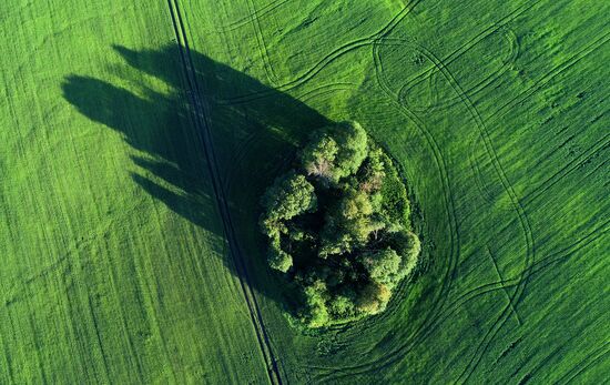 Russia Agriculture Grain Crops