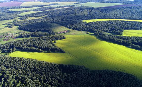 Russia Agriculture Grain Crops