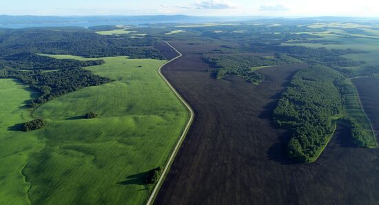 Russia Agriculture Grain Crops