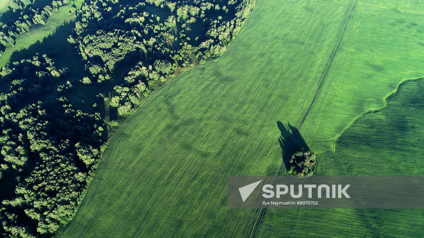 Russia Agriculture Grain Crops