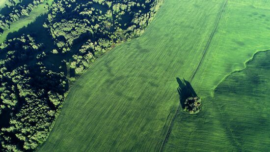 Russia Agriculture Grain Crops