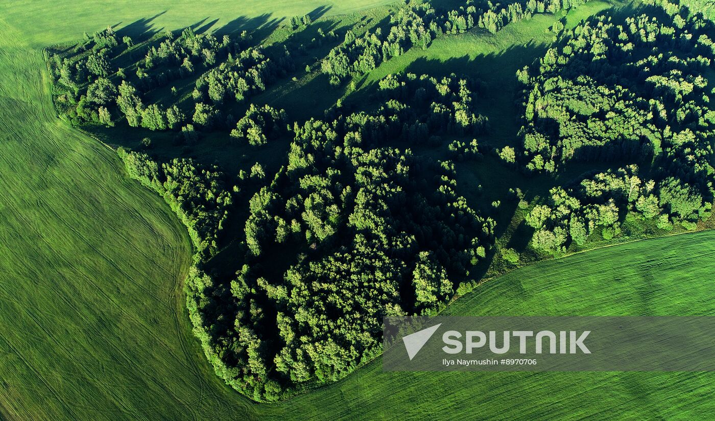 Russia Agriculture Grain Crops