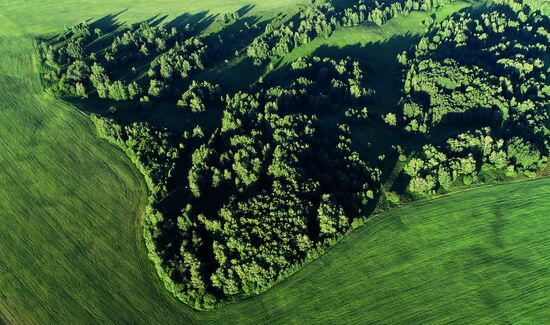 Russia Agriculture Grain Crops