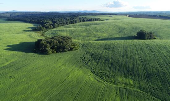 Russia Agriculture Grain Crops