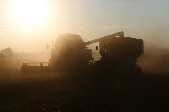 Russia Agriculture Wheat Harvesting