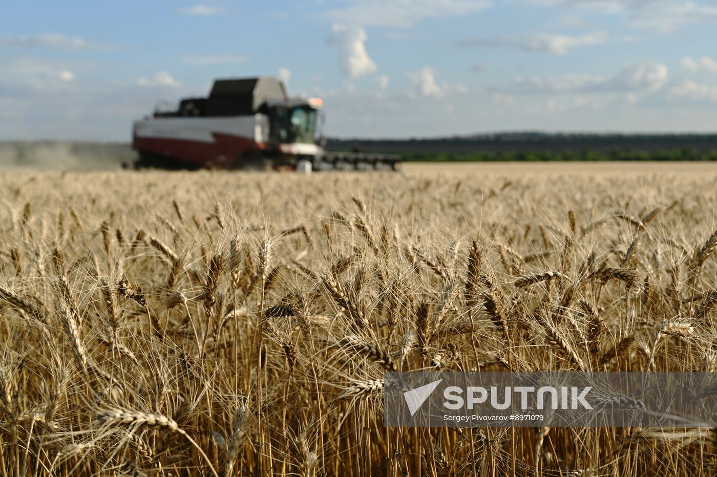 Russia Agriculture Wheat Harvesting