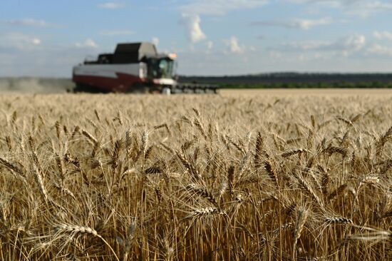 Russia Agriculture Wheat Harvesting