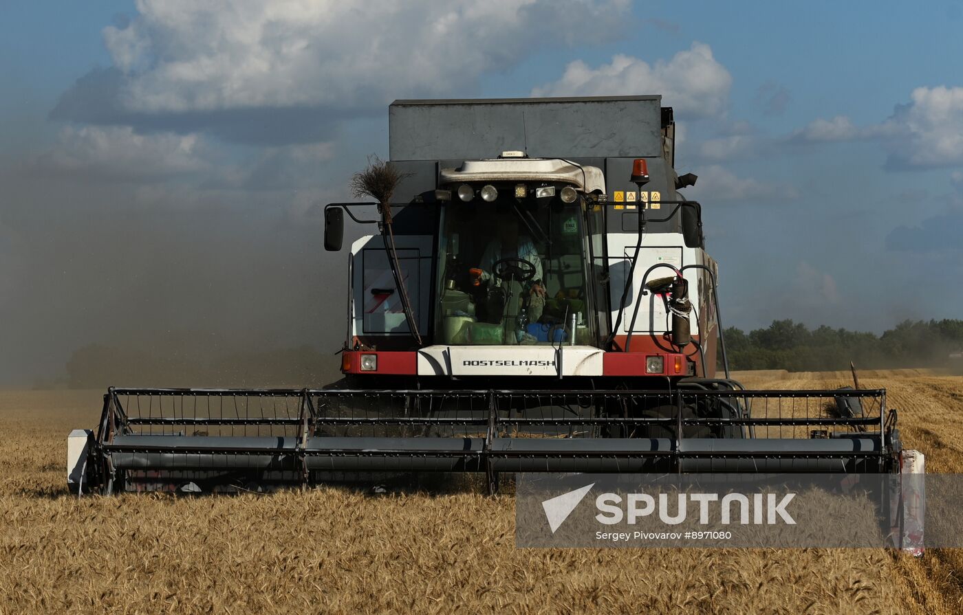 Russia Agriculture Wheat Harvesting