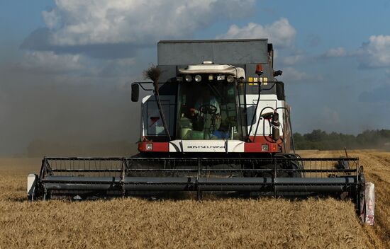 Russia Agriculture Wheat Harvesting