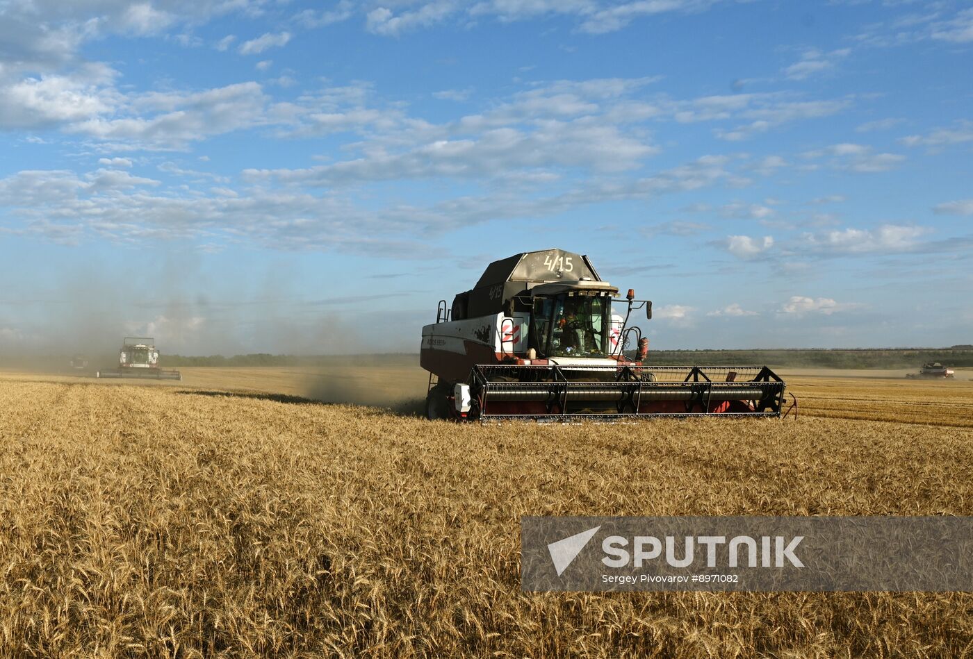 Russia Agriculture Wheat Harvesting