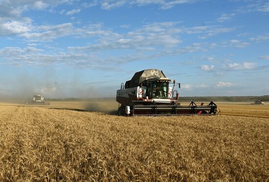 Russia Agriculture Wheat Harvesting