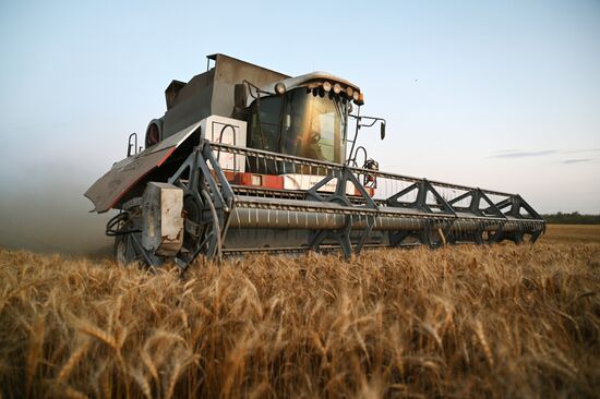 Russia Agriculture Wheat Harvesting