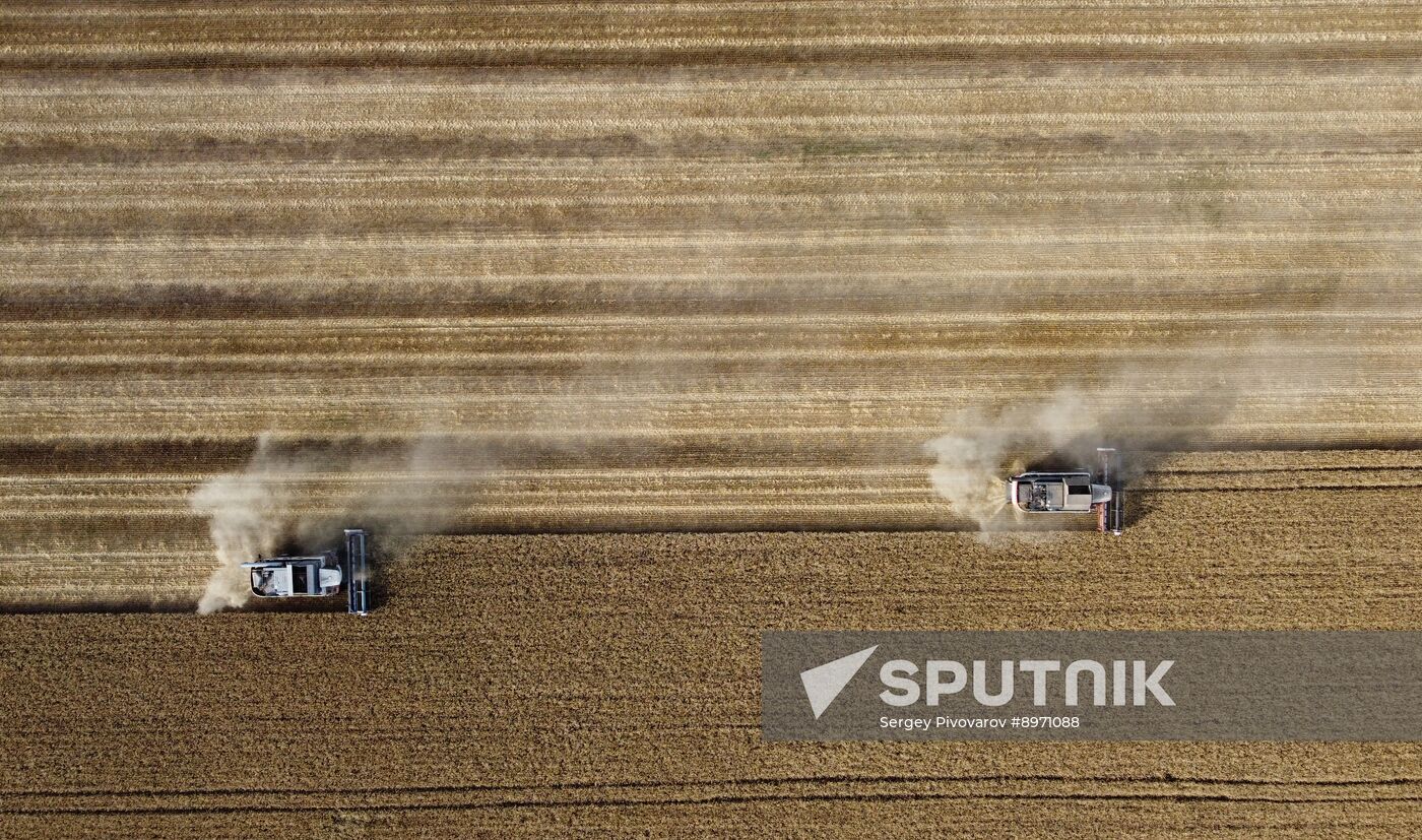Russia Agriculture Wheat Harvesting