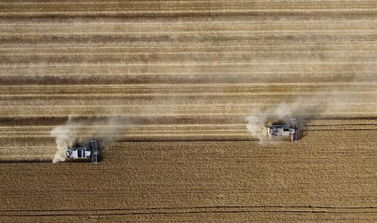 Russia Agriculture Wheat Harvesting