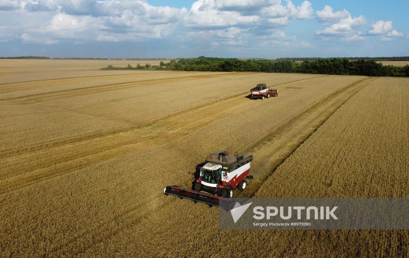 Russia Agriculture Wheat Harvesting