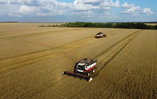 Russia Agriculture Wheat Harvesting