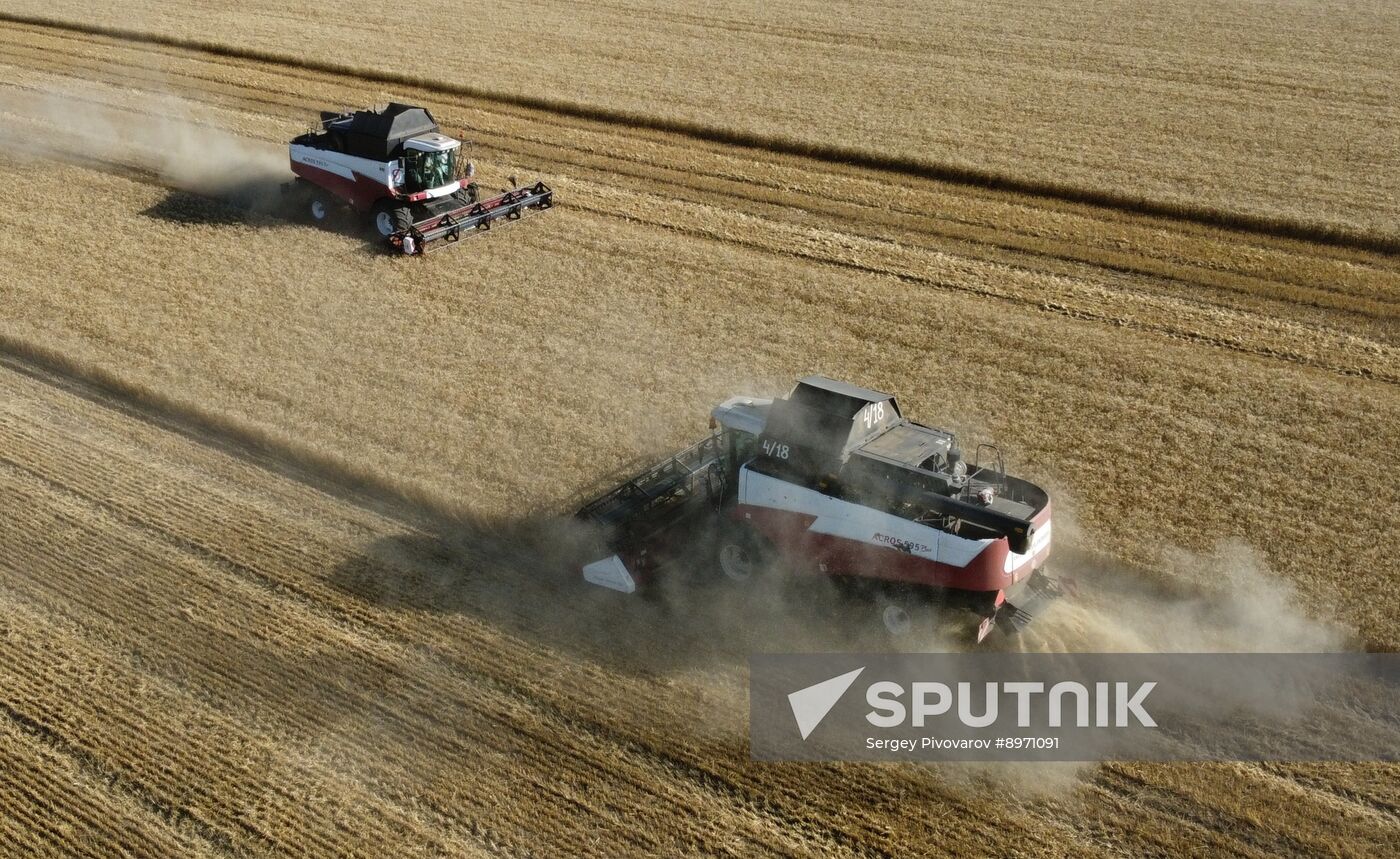 Russia Agriculture Wheat Harvesting