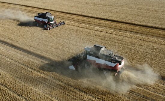 Russia Agriculture Wheat Harvesting