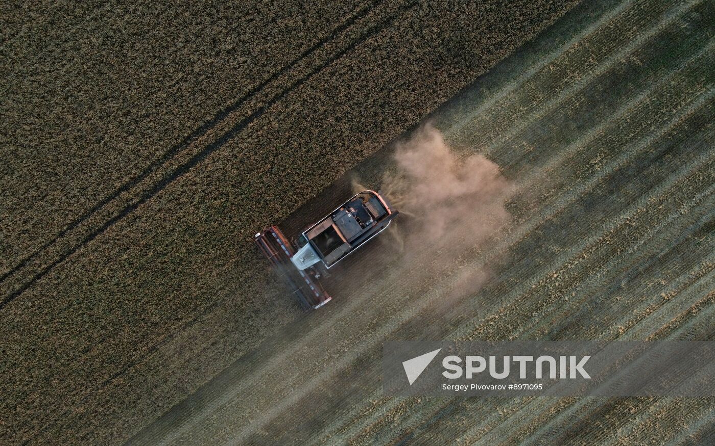 Russia Agriculture Wheat Harvesting