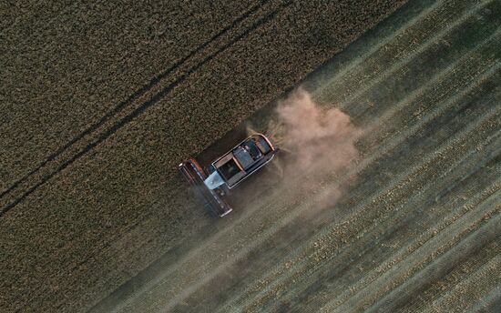 Russia Agriculture Wheat Harvesting