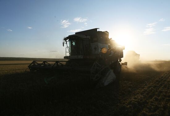 Russia Agriculture Wheat Harvesting